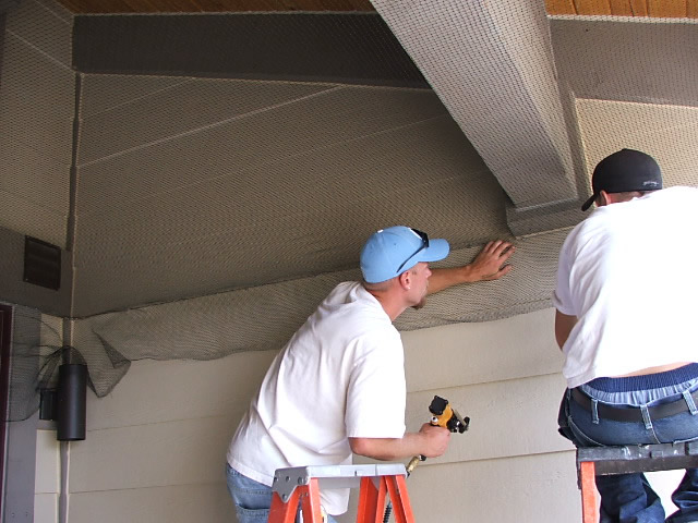 Allstate Animal Control, bat control netting